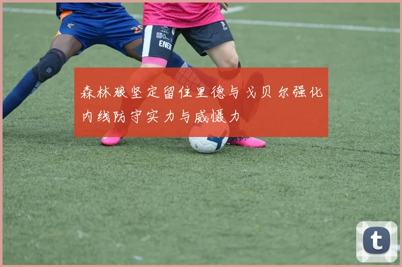 森林狼坚定留住里德与戈贝尔强化内线防守实力与威慑力
