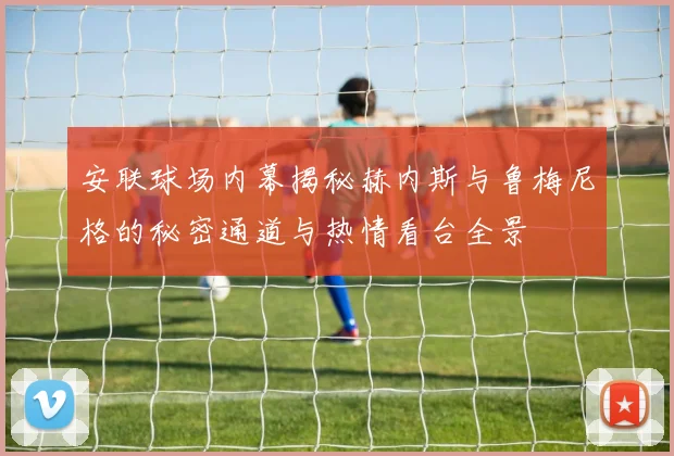 安联球场内幕揭秘赫内斯与鲁梅尼格的秘密通道与热情看台全景